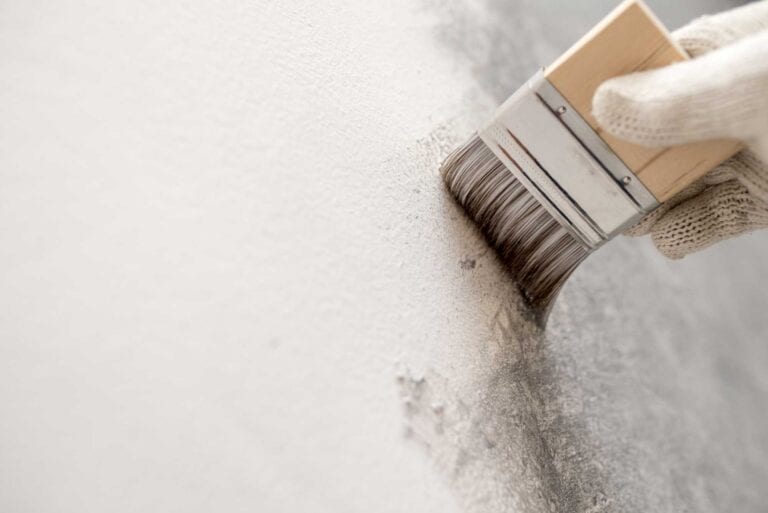 Malermeister mit Fachexpertise in Sanierung und Schimmelsanierung